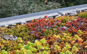 the cost of Quholm green roof installation