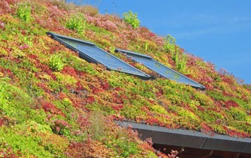 Quholm living roof systems