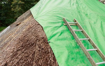 maintaining Quholm thatch