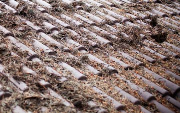 Quholm roof cleaning companies