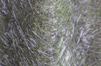 Quholm fibreglass roof work